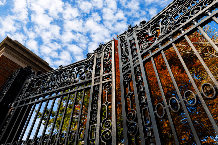 Harvard yard gate with a backdrop of foliage.