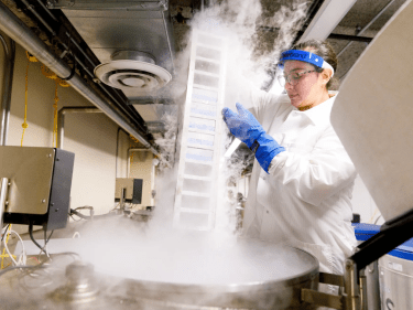 A researchers handling a refrigerated item