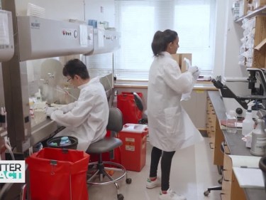 Two researchers in a lab