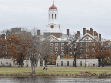 A tower with a red roof on the Charles River.