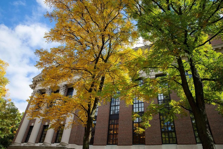 Widener Library on Harvard campus