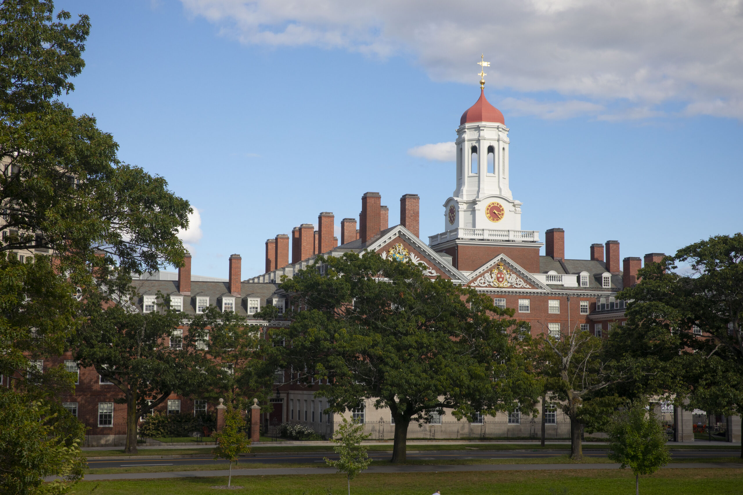 A Harvard building behind trees.