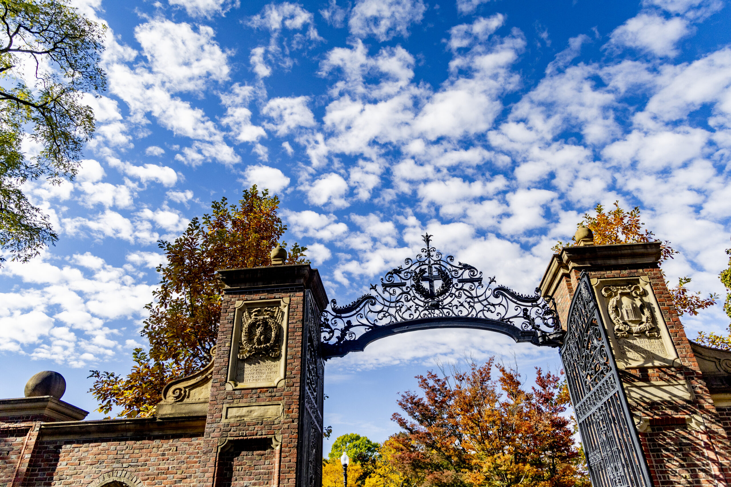 A Harvard gate made of brick and iron, with a bright sky behind it.