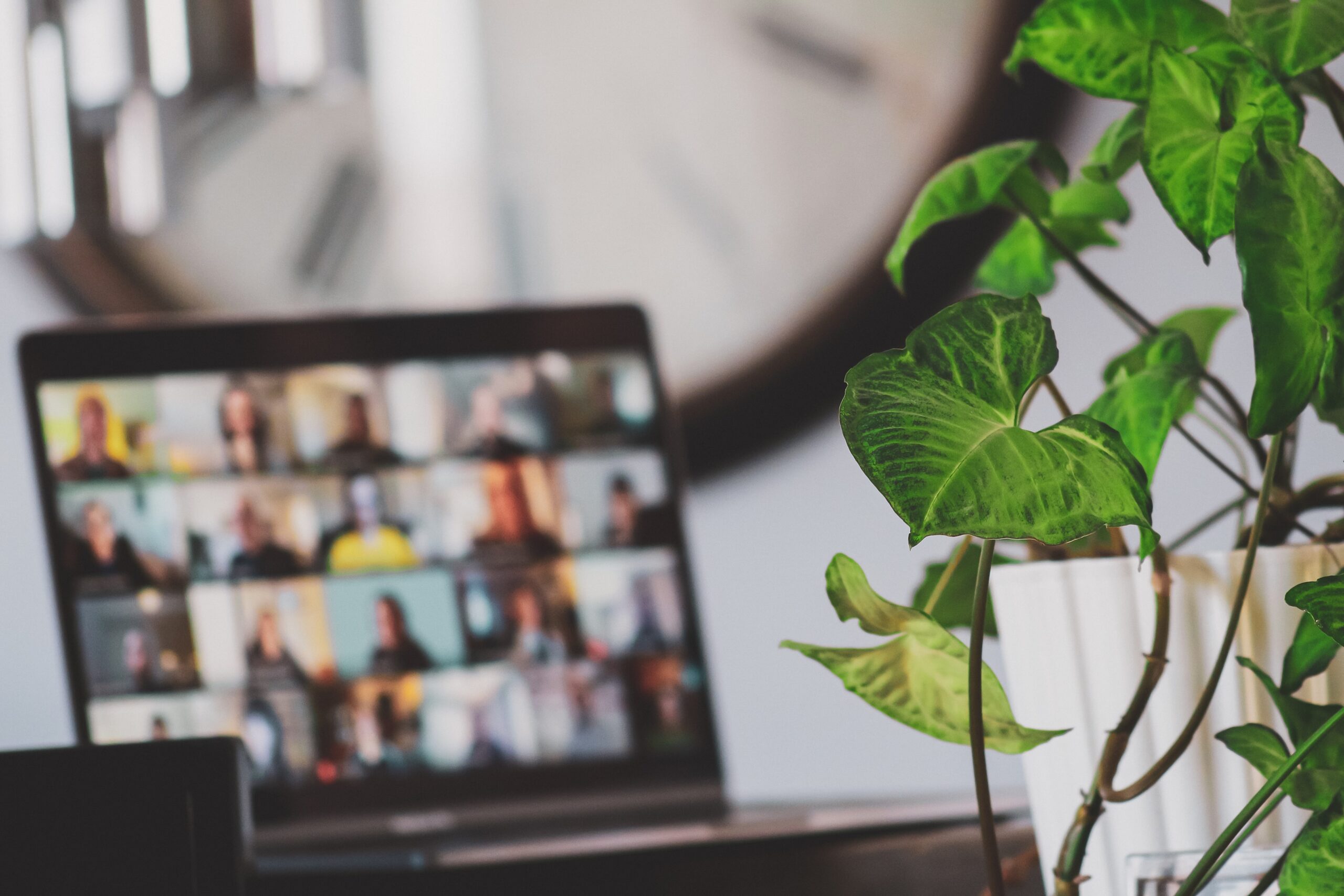 Computer screen next to plant