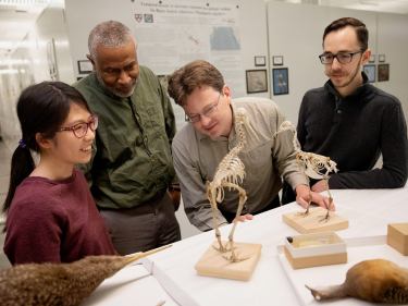 researchers standing around a skeleton of a bird