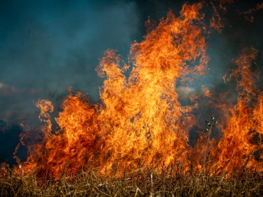 flames from a wildfire