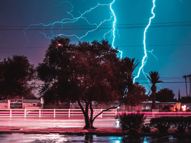 Lightning strikes behind a tree