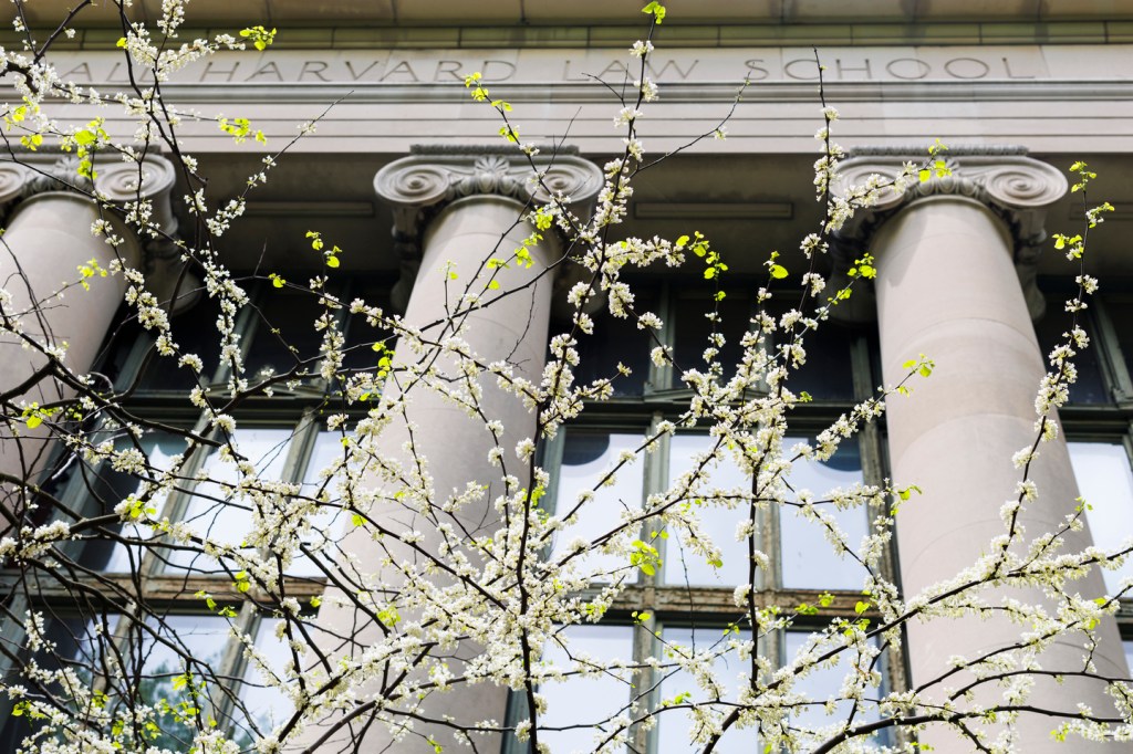 Trees with buds in front of pillars.