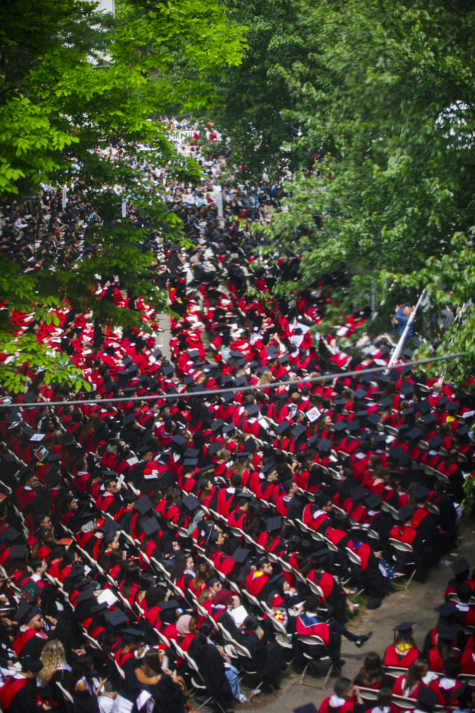 Hundreds of graduates sit in seats in Harvard Yard during Commencement