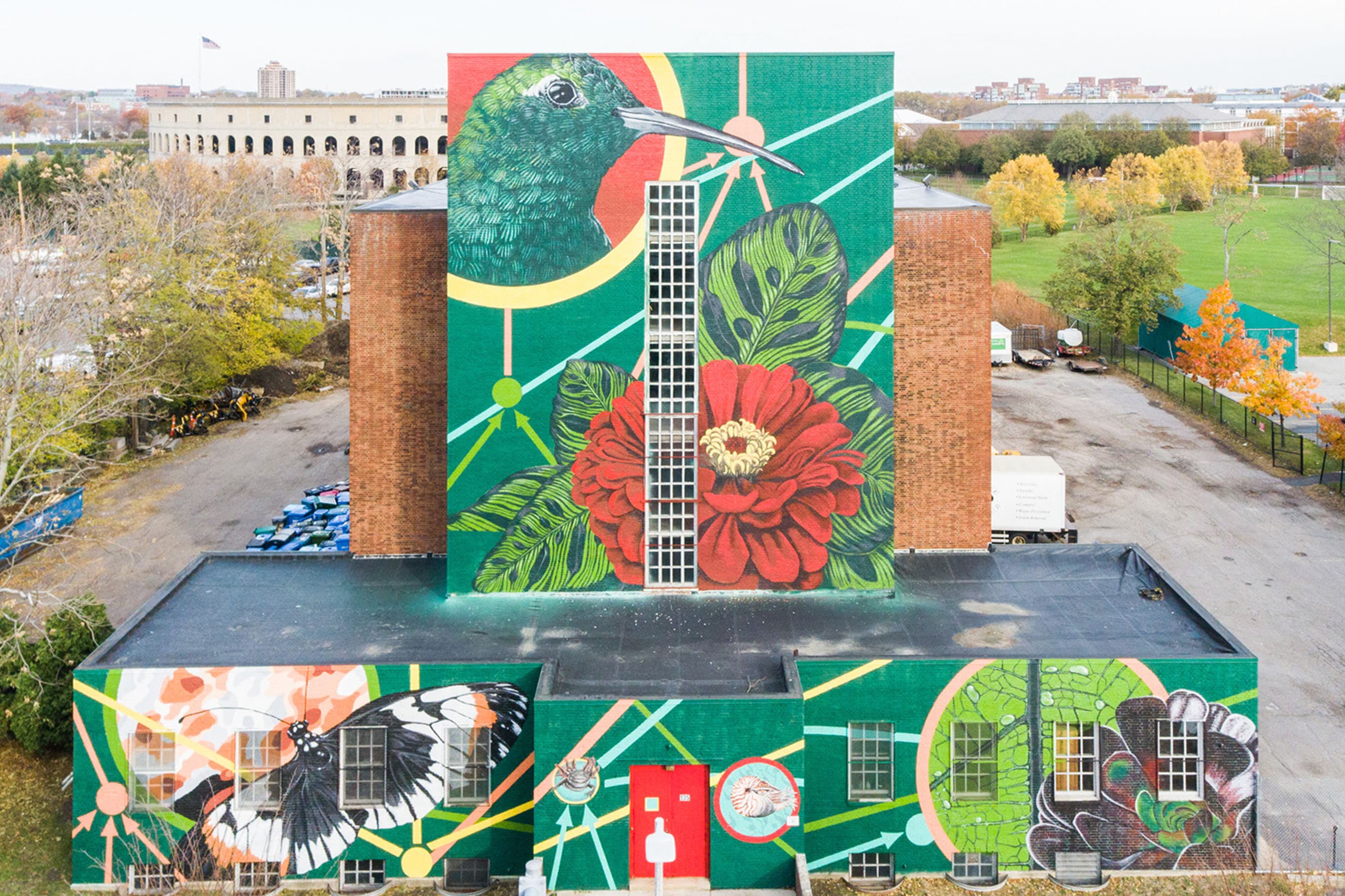 A mural of a bird and flowers on a building