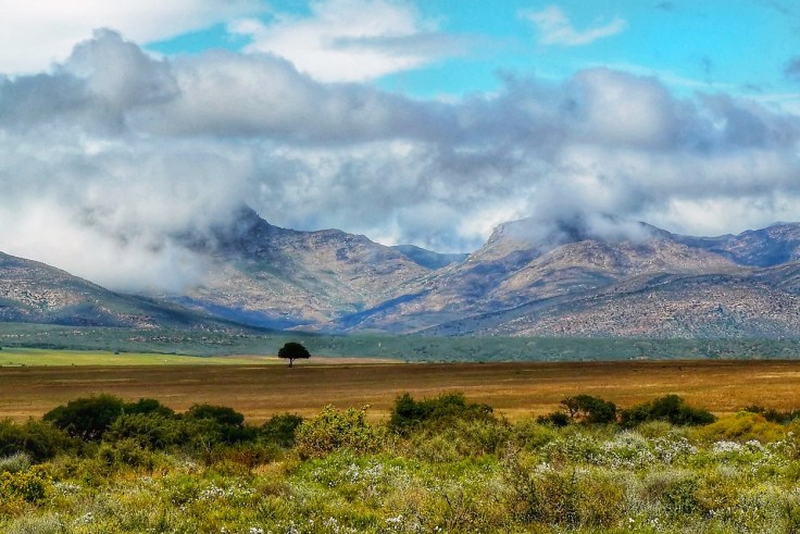 African landscape