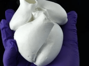 A hand holding an artificial heart