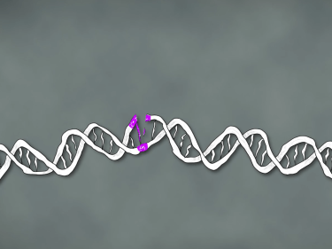 An illustration of gene editing