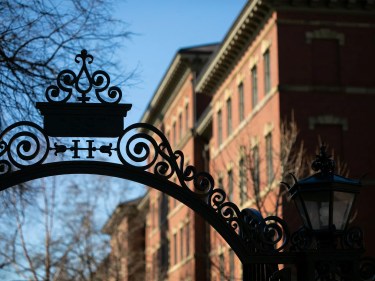 A metal gate at Harvard