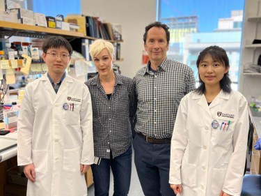 Researchers in a lab