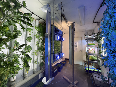 A data center with plants growing